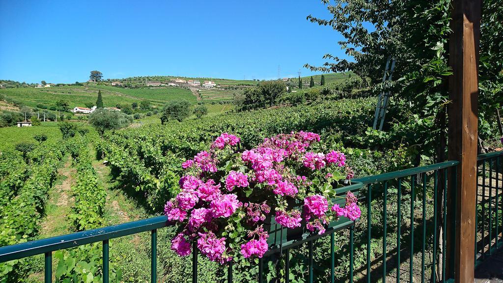 Douro Valley - Casa Vale Do Douro Lamego Exterior photo